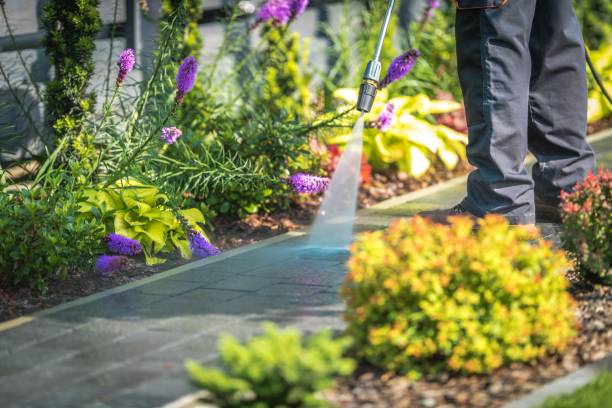 Best Post-Construction Pressure Washing  in Rowland Heights, CA